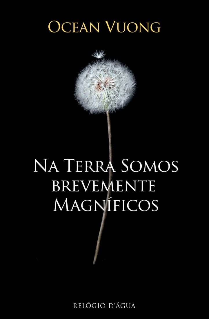 Na Terra Somos Brevemente Magníficos
